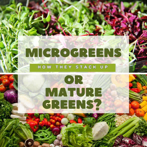 microgreens-vs-mature-greens